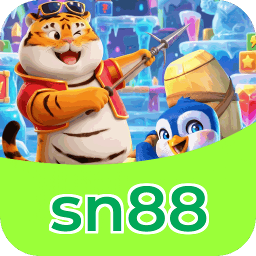Interface sn88